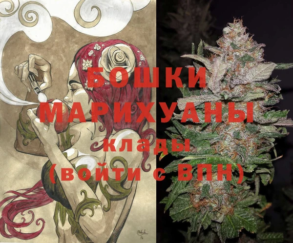 МДПВ Нея