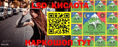 дживик Кандалакша