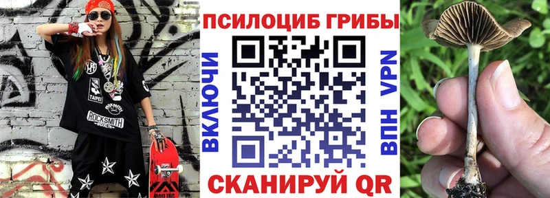 Галлюциногенные грибы мухоморы  закладка  Острогожск 