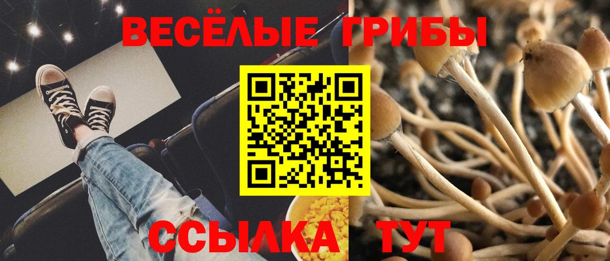 Галлюциногенные грибы MAGIC MUSHROOMS  Острогожск 