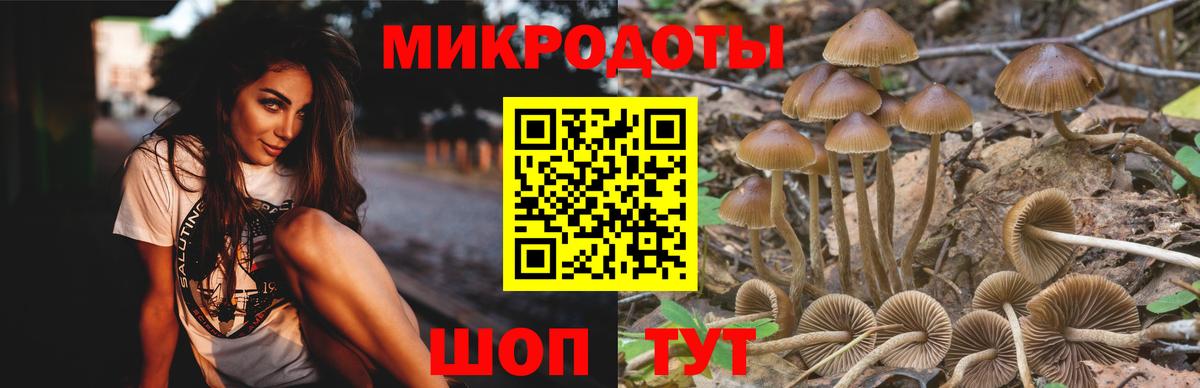 Галлюциногенные грибы прущие грибы  Псилоцибиновые грибы мицелий  Острогожск  хочу   Вход с VPN 