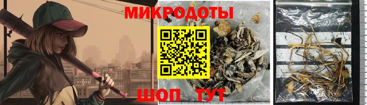 Псилоцибиновые грибы Cubensis Острогожск